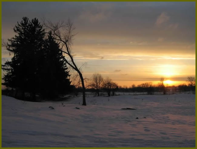 A field covered in snow